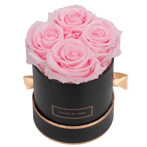 Rosé Gold Collection