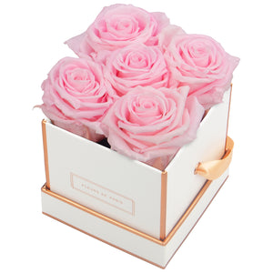 Rosé Gold Collection