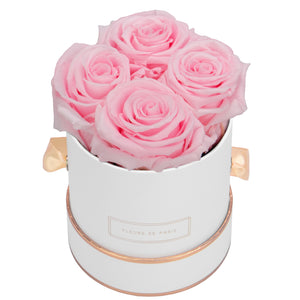 Rosé Gold Collection