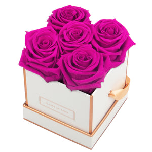 Rosé Gold Collection