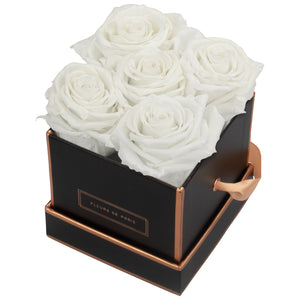 Rosé Gold Collection