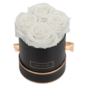 Rosé Gold Collection