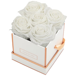 Rosé Gold Collection