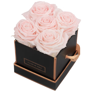 Rosé Gold Collection