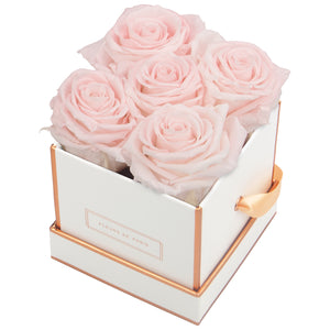 Rosé Gold Collection