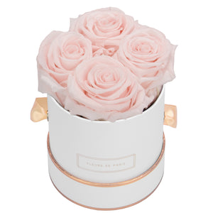 Rosé Gold Collection