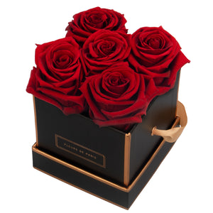 Rosé Gold Collection