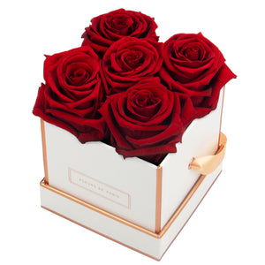 Rosé Gold Collection