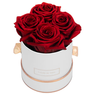 Rosé Gold Collection