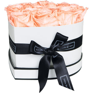 Infinite Love Collection