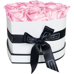 Infinite Love Collection