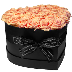 Infinite Love Collection