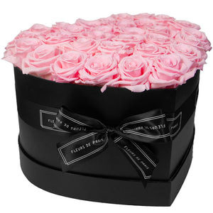 Infinite Love Collection