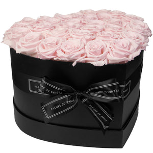 Infinite Love Collection