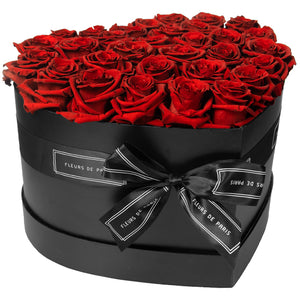 Infinite Love Collection