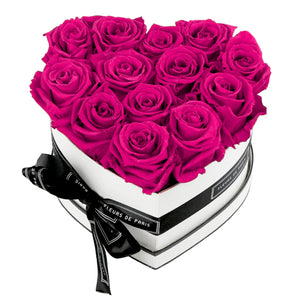 Infinite Love Collection