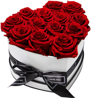 Infinite Love Collection